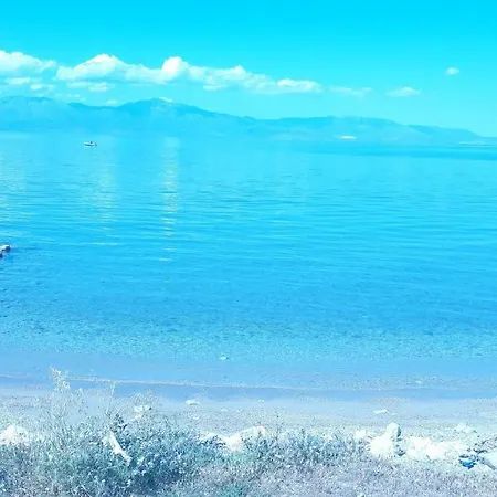 Coral Beach *